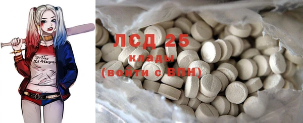 ГАЛЛЮЦИНОГЕННЫЕ ГРИБЫ Абаза