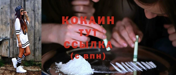 ГАЛЛЮЦИНОГЕННЫЕ ГРИБЫ Абаза