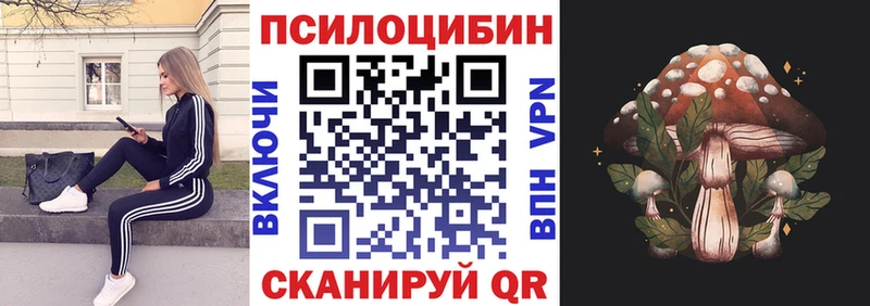 купить наркотик  Стрежевой  Псилоцибиновые грибы Psilocybine cubensis 